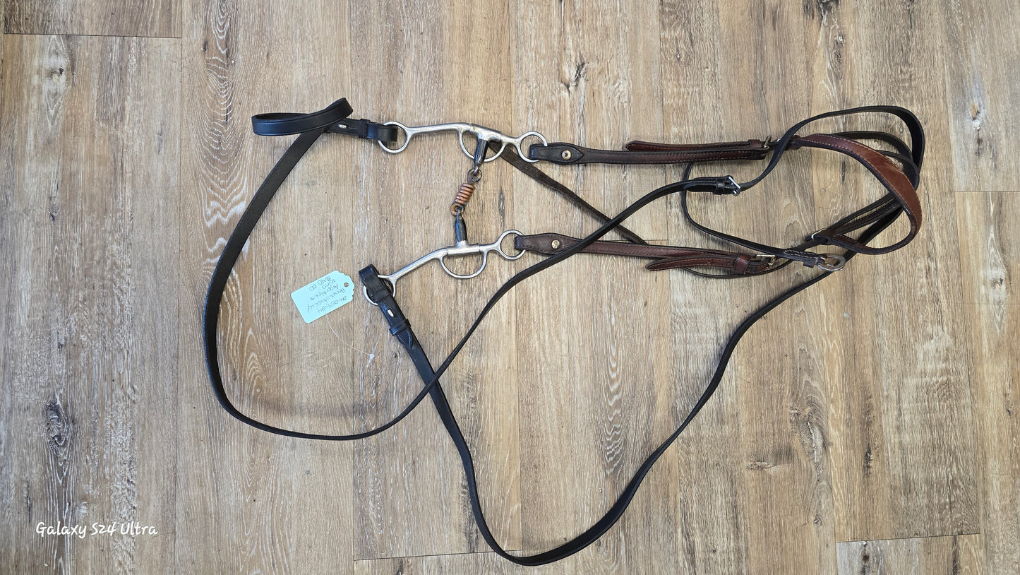 Headstall with Argentine and Reins