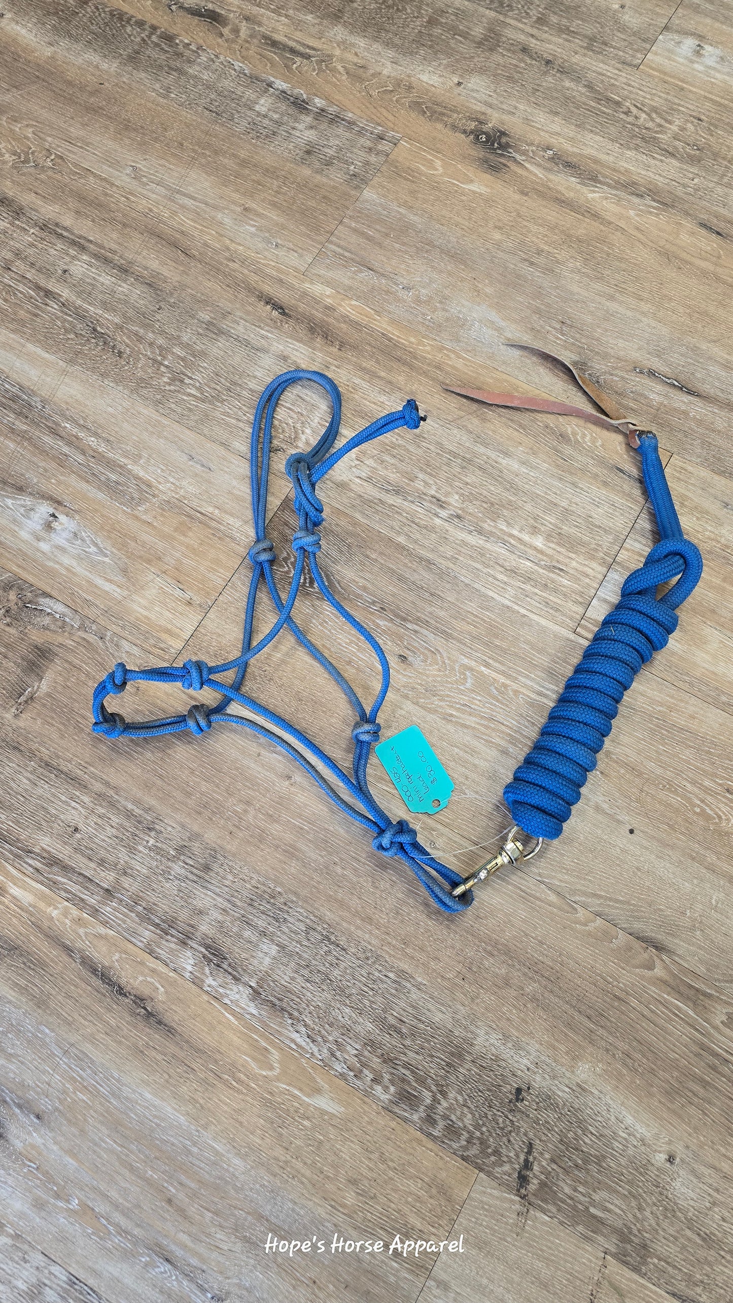 Mini rope halter & lead