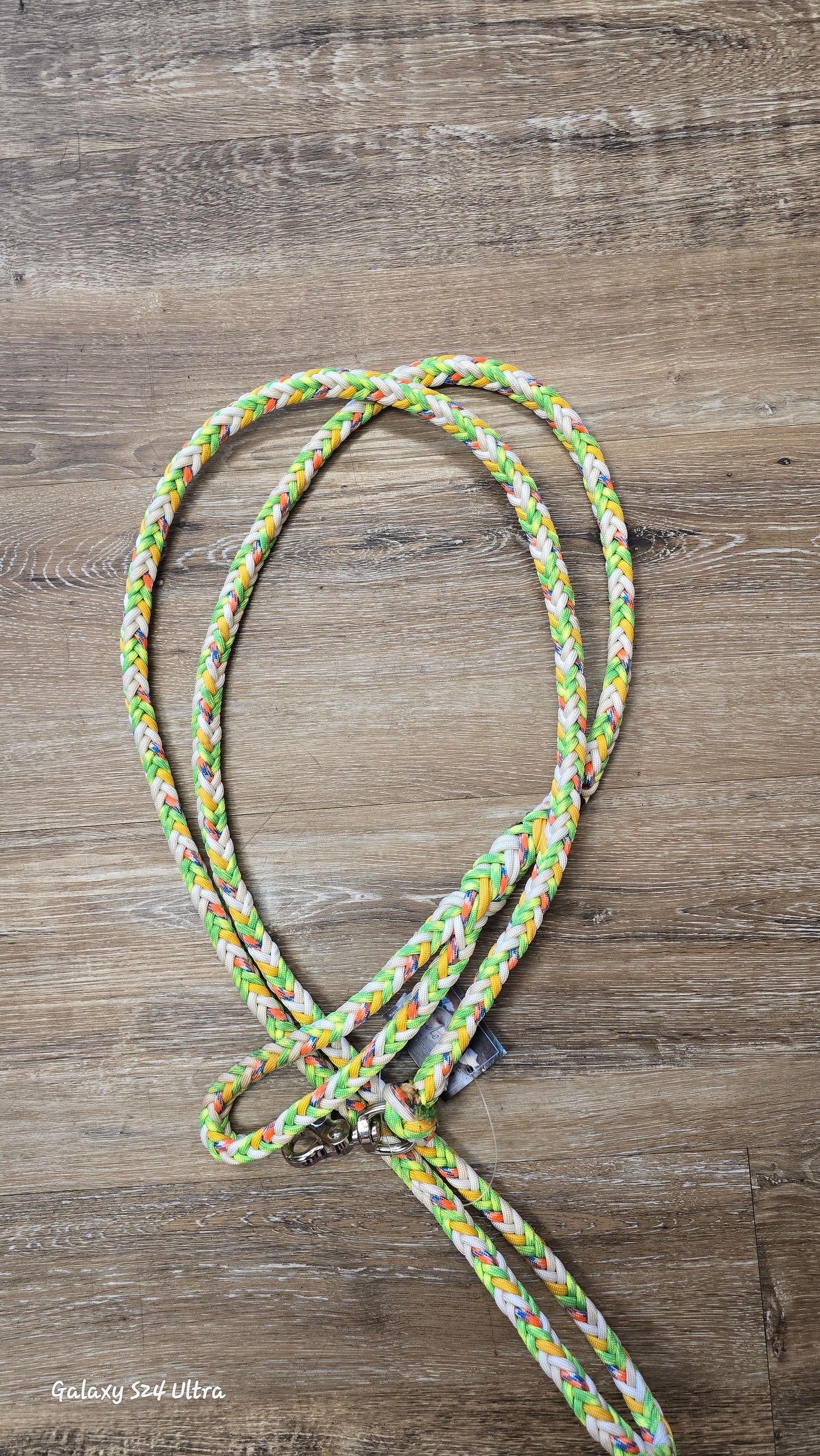 Braided Dog Leash