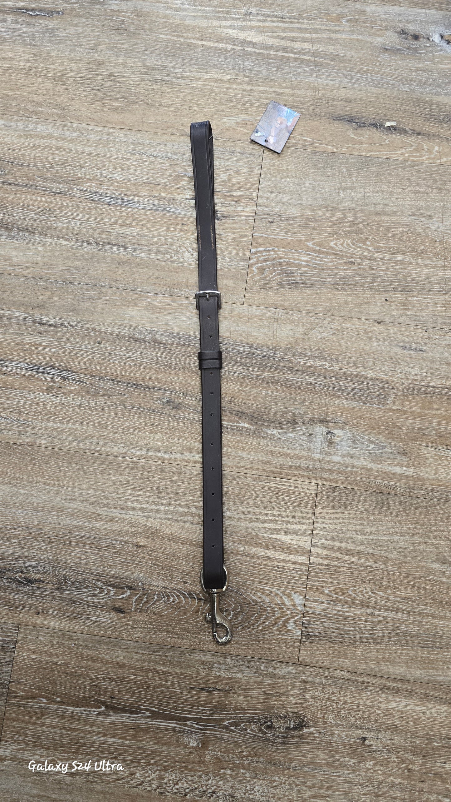 Standing Martingale Attachment