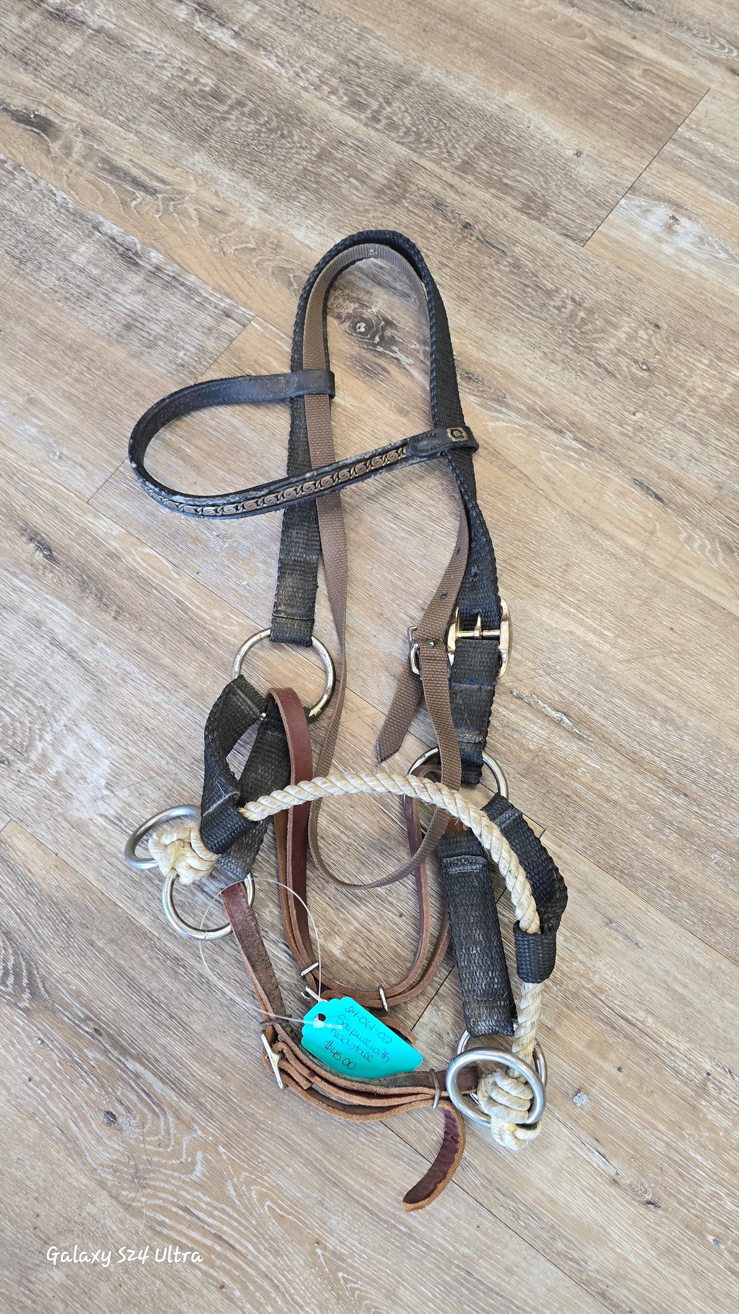 Sidepull with nylon headstall