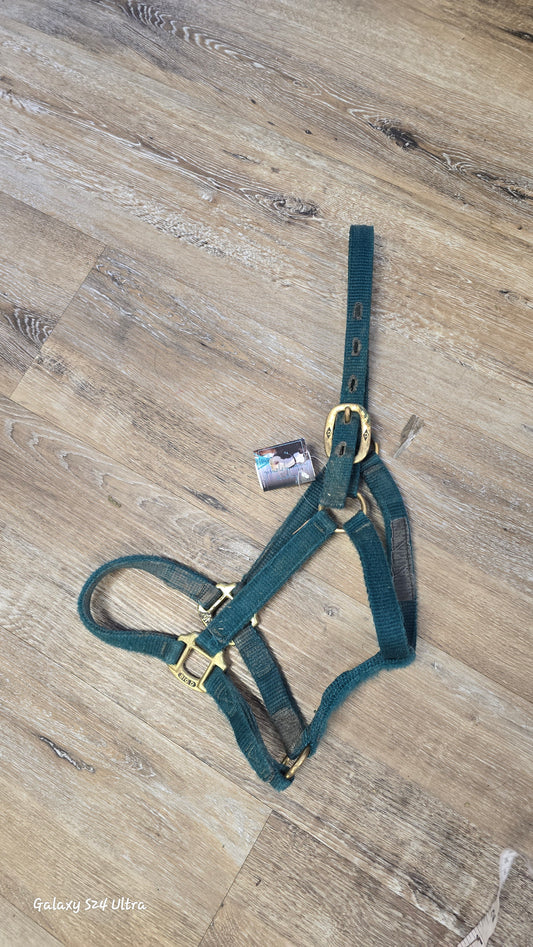 Nylon Pony Halter