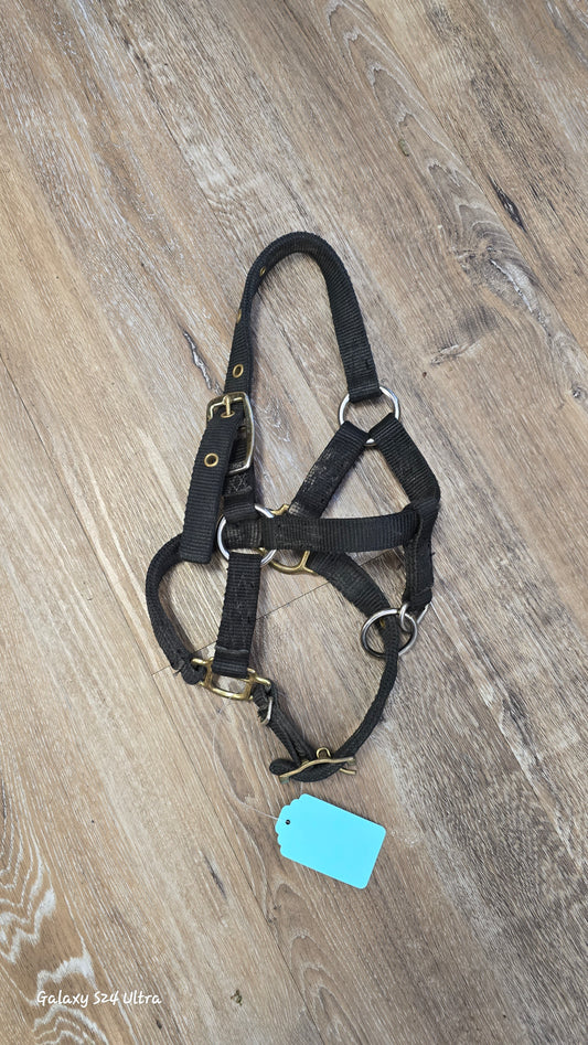 Nylon Foal Halter