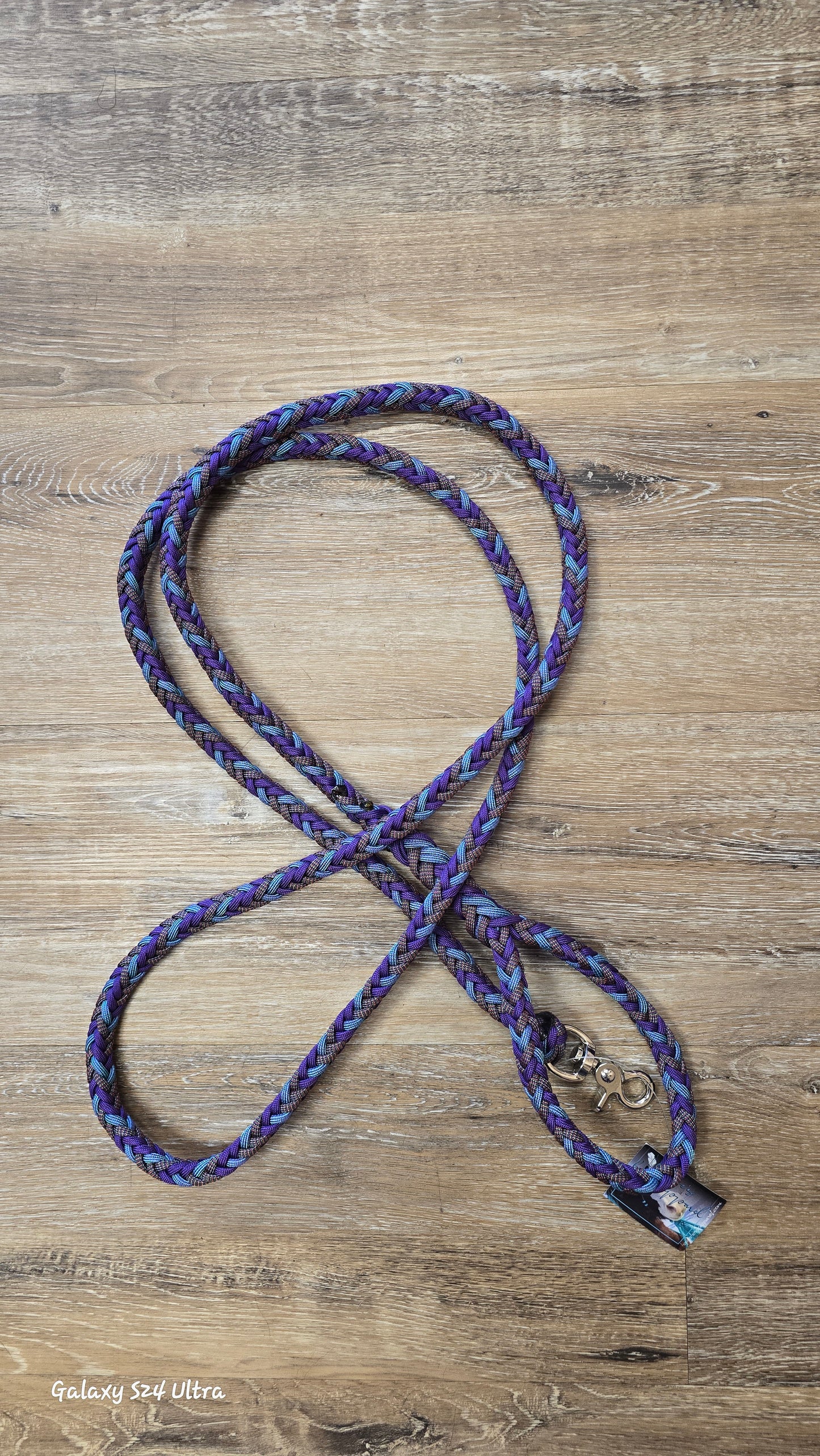 Braided Dog Leash